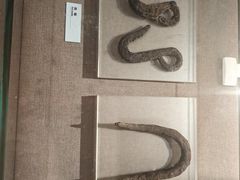 -元代水闸遗址博物馆