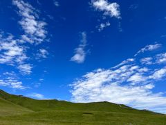 -西双版纳原始森林公园