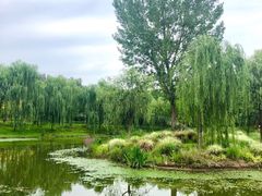 -东郊湿地公园
