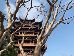 -黄鹤楼公园(黄鹤楼)