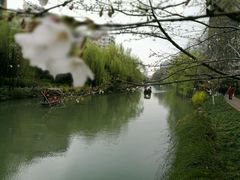 -运河游船(武林门码头)