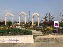 -紫颐香薰山谷景区