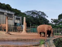 -昆明动物园