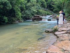 -广州白江湖森林公园