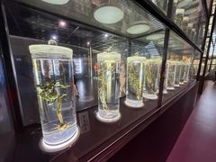 -广东中医药博物馆