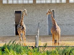 -石家庄市动物园