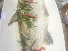 -玉舌尖私房菜(裕华店)