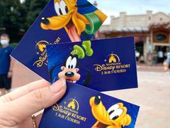 -上海迪士尼度假区