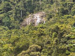 -海南热带雨林国家公园吊罗山景区