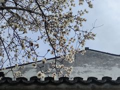 -艺圃