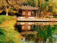 -尚湖风景区