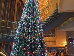 -视界美食自助餐厅·石家庄希尔顿酒店