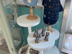 -欧奕国际动物医院