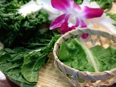 -香樟活鱼馆(渝北店)