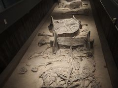 -北京大葆台遗址博物馆