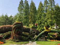 -东平国家森林公园