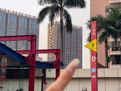 -虾饺妹·酒家(金碧店)