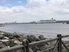 -吴淞炮台湾湿地森林公园烧烤区