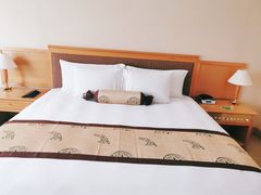 -美臣大酒店