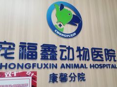 -宠福鑫康馨动物医院·骨科·眼科