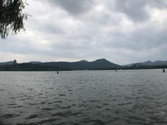 -西湖外事游船(花港观鱼码头)