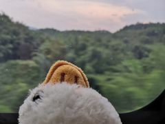 -黔灵山公园