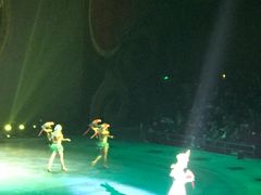 -珠海横琴长隆《卡卡虎奇遇记》