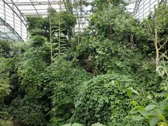 -南山植物园