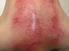 -经禅和·中医推拿(百家湖店)