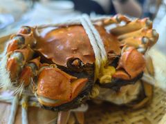-蟹天蟹地农家菜·阳澄湖大闸蟹(浅水湾店)