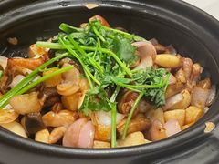 -滇野云南野生菌餐厅(陕西南路店)