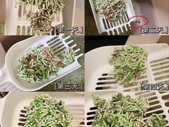 -艾贝尔宠物医院·24H转诊中心·肿瘤猫专科(江宁双龙店)