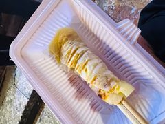 -内涵饵块