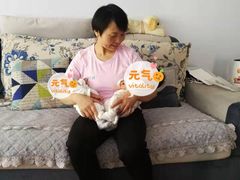 -田螺阿姨自营月嫂·育儿嫂(高新店)