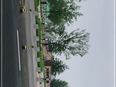 -东郊湿地公园