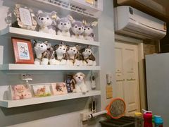 -TrueLove @ Neverland (Husky Cafe)