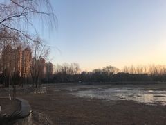 -望湖公园