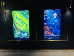 -奥斯卡升龙国际影城(RealD Cinema)