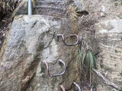 -墨尔本皇家植物园