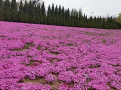 -棒棰岛宾馆景区