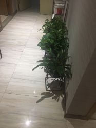 点击看大图 大堂-苑苑vbeauty科技美容SPA