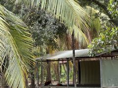 -兴隆槟榔园休闲农庄