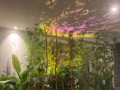 -施奈儿.洗头頭療.按摩SPA.采耳(上梅林店)
