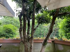 -龙井壹号·茶缘山景宴(龙井村店)
