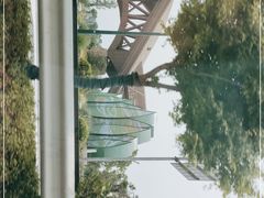 -荷兰花海