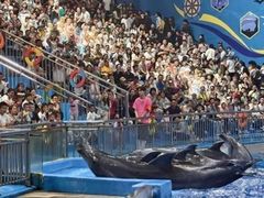 -多彩贵州城极地海洋世界