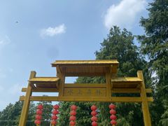 -渌洋湖湿地公园