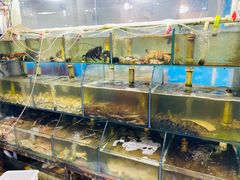 -来之顺海鲜菜馆·青岛菜(栈桥店)