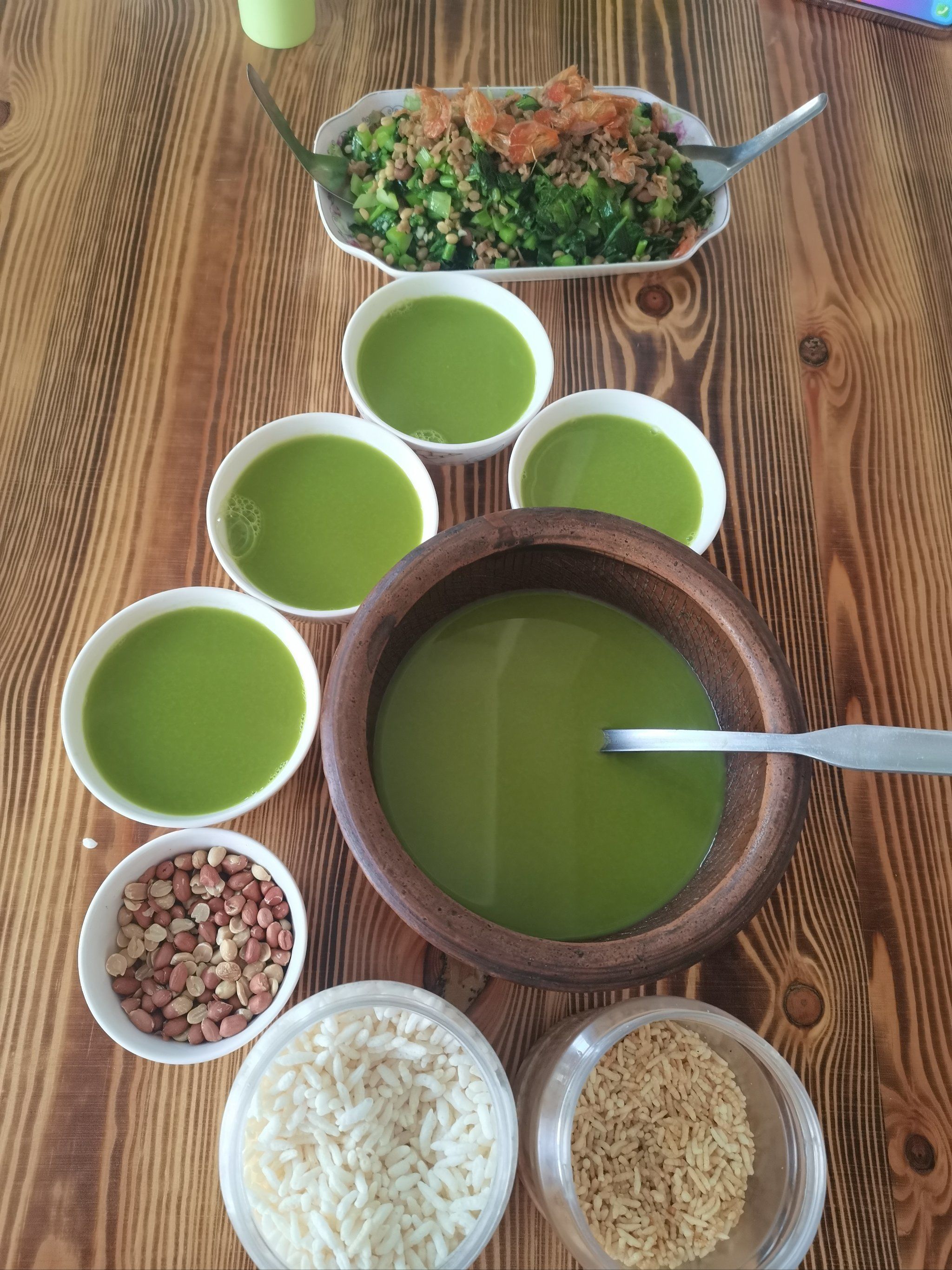 打卡陆河油茶