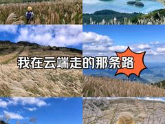 -浙西天池景区